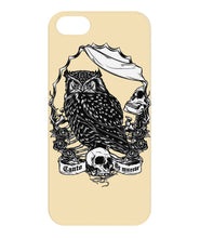 Owl skull