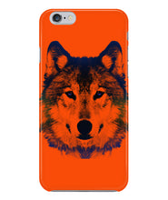 Wolf  beautiful