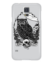 Owl skull