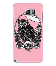 Owl skull
