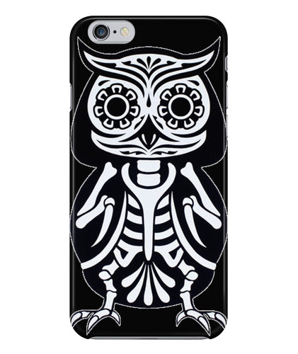 Owl skeleton