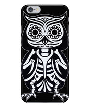 Owl skeleton