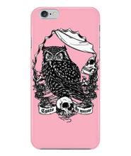Owl skull