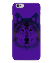 Wolf  beautiful