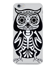 Owl skeleton