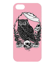 Owl skull