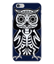 Owl skeleton