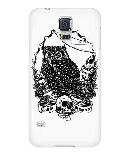 Owl skull