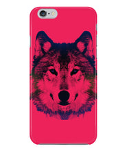 Wolf  beautiful