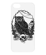 Owl skull