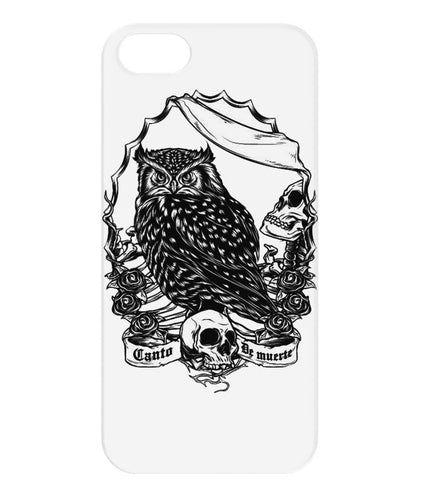 Owl skull