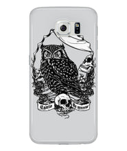 Owl skull