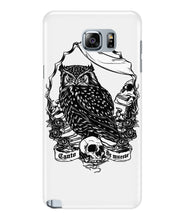 Owl skull