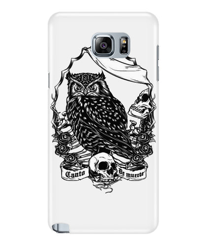 Owl skull