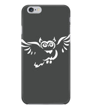 Owl fly