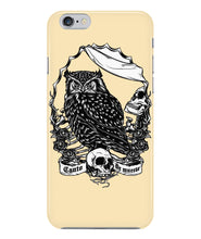 Owl skull