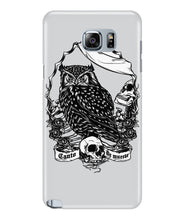 Owl skull