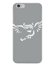 Owl fly
