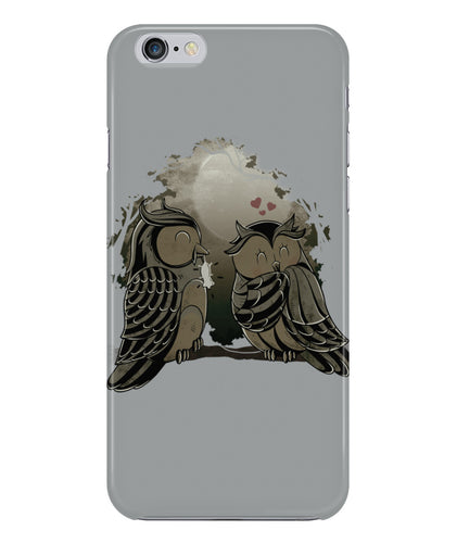 Owl in love