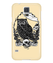 Owl skull