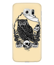 Owl skull