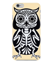 Owl skeleton