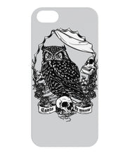 Owl skull