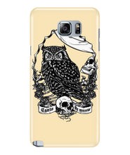 Owl skull