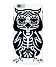 Owl skeleton