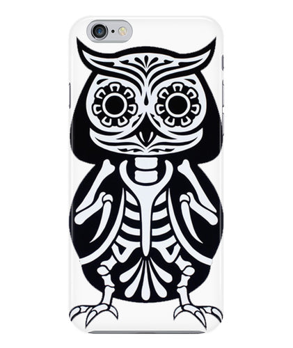 Owl skeleton
