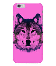 Wolf  beautiful