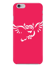 Owl fly