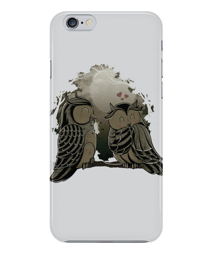 Owl in love