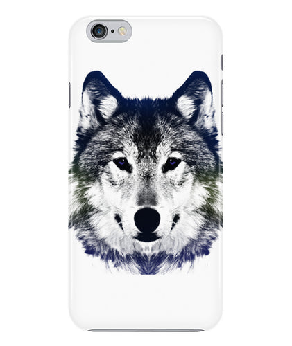 Wolf  beautiful
