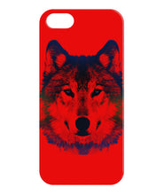 Wolf  beautiful
