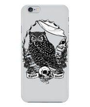 Owl skull