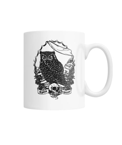 Owl skull