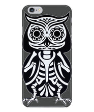 Owl skeleton