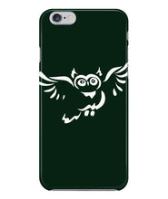 Owl fly