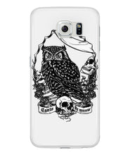 Owl skull