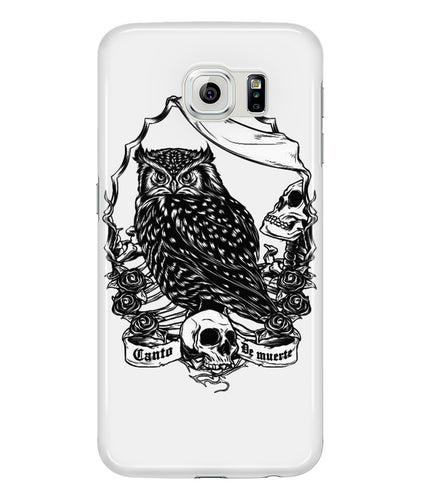Owl skull