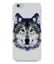 Wolf  beautiful