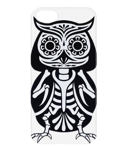 Owl skeleton