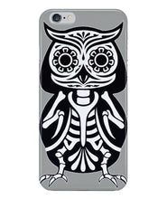 Owl skeleton