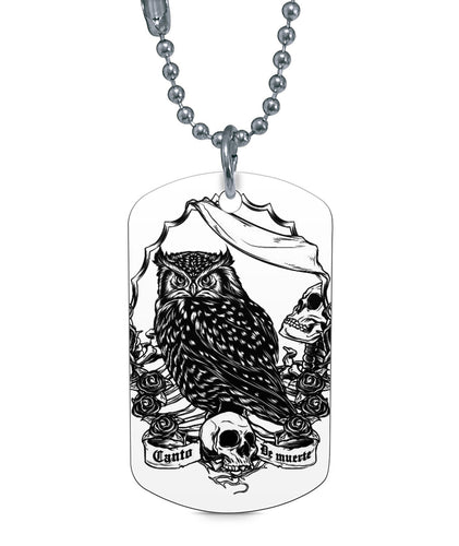 Owl skull