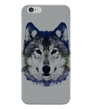 Wolf  beautiful